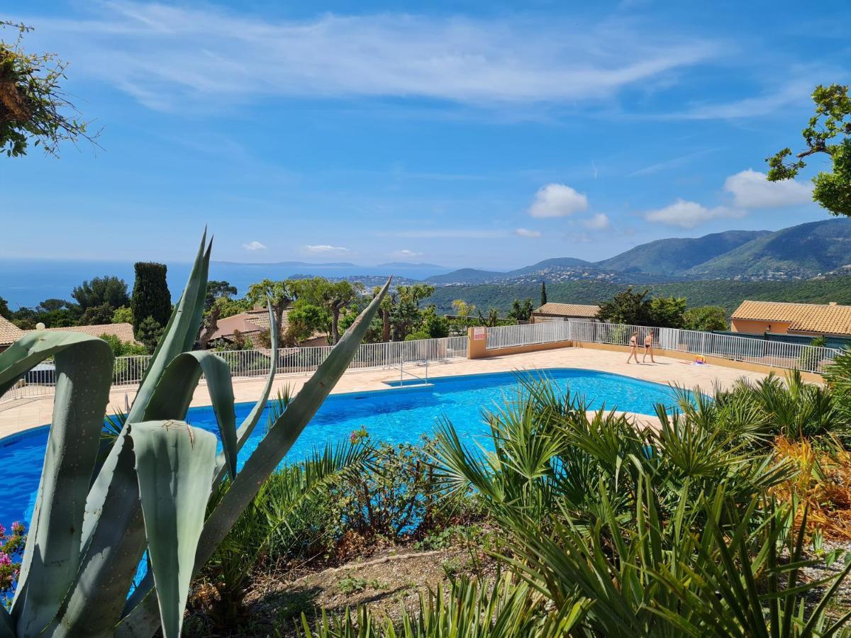 Bel Appartement Renove, Avec Terrasse Et Piscine La Croix-Valmer Exterior photo