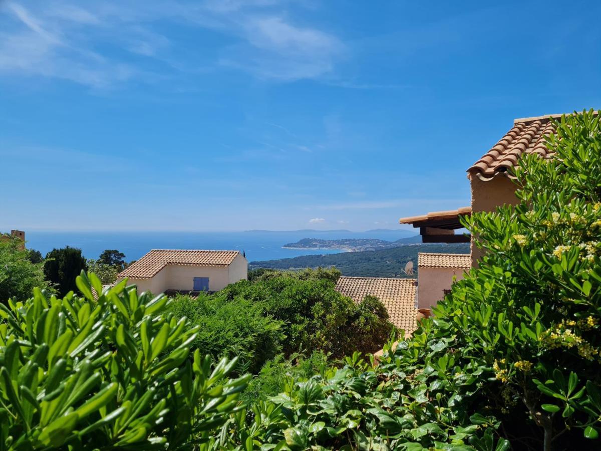 Bel Appartement Renove, Avec Terrasse Et Piscine La Croix-Valmer Exterior photo